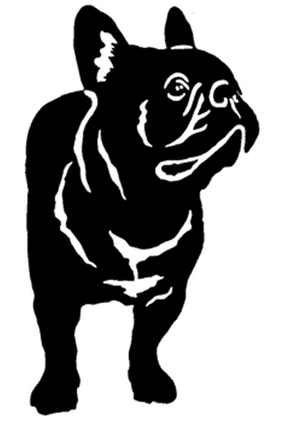chien 1