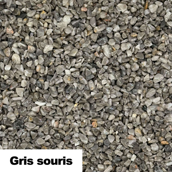 gris souris